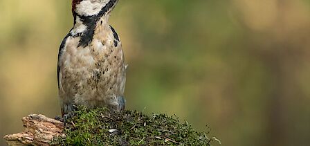 Fabriekshal met balen pmd en pmd op een lopende band